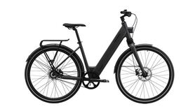 MS ENERGY eBike c300