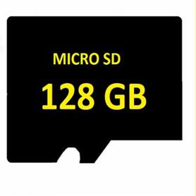 SD MICRO 128GB Surveillance High End