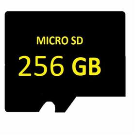 SD MICRO 256GB Surveillance High End