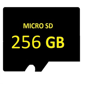 SD MICRO 256GB