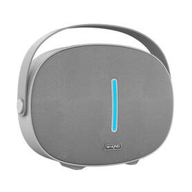 Wireless Bluetooth Speaker W KING T8 30W (silver)