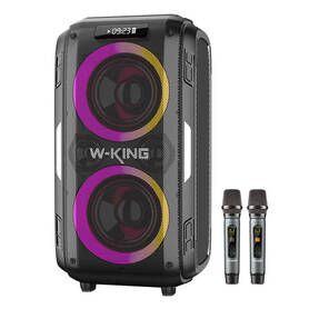Wireless Bluetooth Speaker W KING T9 Pro 120W (black)